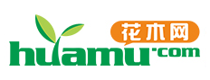 花木网(图1)