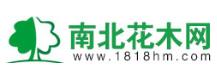 南北花木网-沭阳花木网上交易(图1)