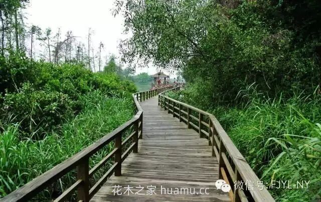 园林铺地及园路的施工技术(二)(图3) 园林铺地及园路的施工技术(二)(图3)