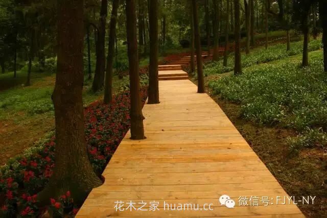 园林铺地及园路的施工技术(二)(图4) 园林铺地及园路的施工技术(二)(图4)