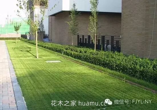 园林铺地及园路的施工技术(二)(图7) 园林铺地及园路的施工技术(二)(图7)