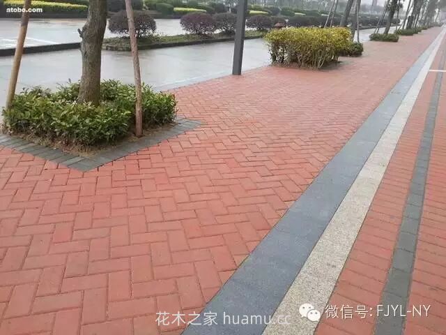 园林铺地及园路的施工技术(二)(图10) 园林铺地及园路的施工技术(二)(图10)