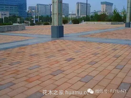 园林铺地及园路的施工技术(二)(图11) 园林铺地及园路的施工技术(二)(图11)