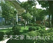 园林工程施工前都有哪些准备？(图1)