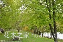 园林工程施工前都有哪些准备？(图2)