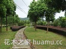 园林工程施工前都有哪些准备？(图3)