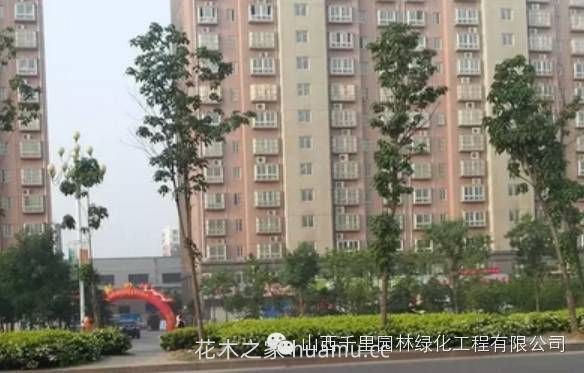 园林绿地养护问题的主要影响因素(图2) 园林绿地养护问题的主要影响因素(图2)