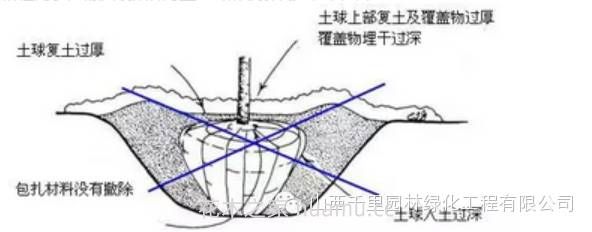 园林绿地养护问题的主要影响因素(图5) 园林绿地养护问题的主要影响因素(图5)