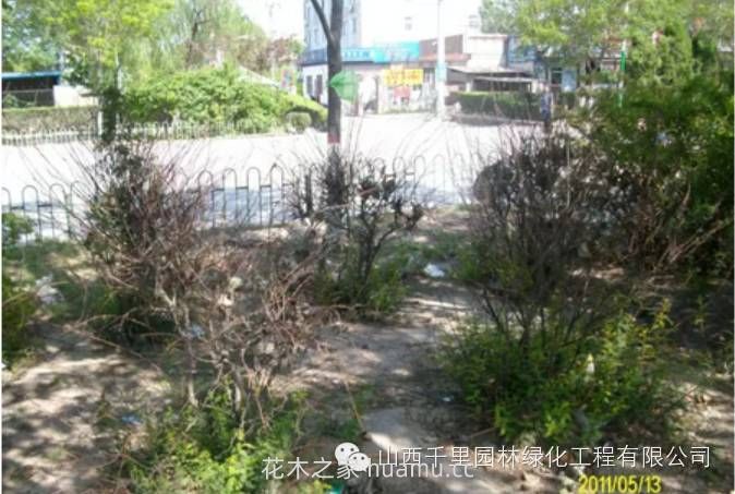 园林绿地养护问题的主要影响因素(图6) 园林绿地养护问题的主要影响因素(图6)