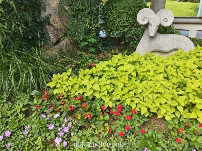 三大要素谈如何打造迷人的花境 三大要素谈如何打造迷人的花境