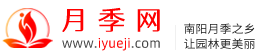 月季网中国月季批发交易门户