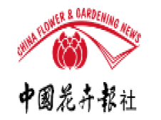 中国花卉网-china-flower