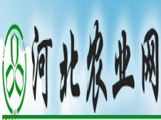 河北农业网