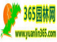 365园林网-中华苗木网-绿化苗木交易网
