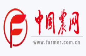 中国农网